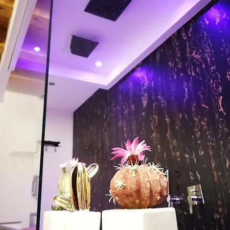 بيت ضيافة Casa Busari