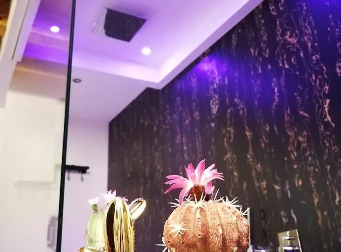 Gæstehus Casa Busari