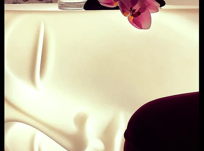 בית הארחה Casa Busari